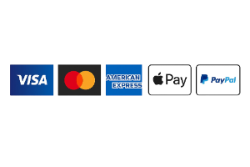 Logos of Visa, Mastercard, American Express, Apple Pay, and PayPal on a white background
